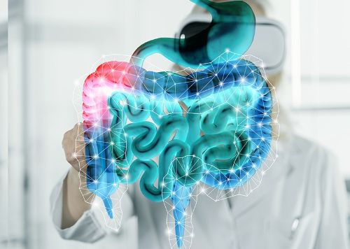 La conexión entre obesidad, microbiota intestinal y salud integral