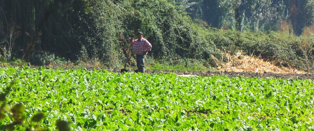 U. de Chile de alista para su Semana Campesina 2025 con más de 10 organizaciones participantes